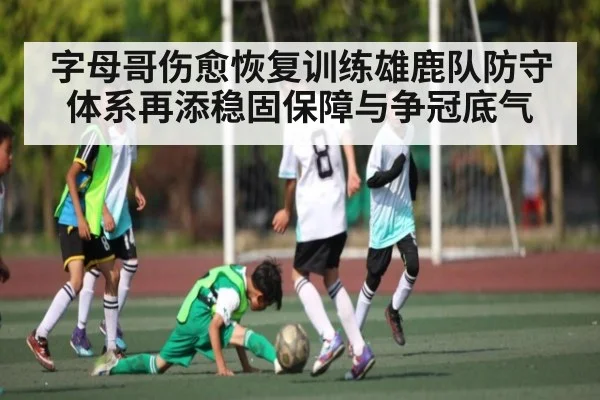 字母哥伤愈恢复训练雄鹿队防守体系再添稳固保障与争冠底气